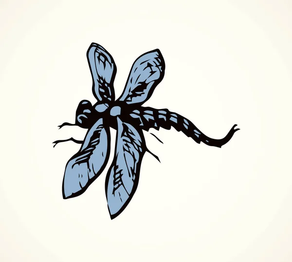 Grote Schattig Anisoptera Lichte Achtergrond Freehand Donkergrijs Inkt Hand Getrokken — Stockvector