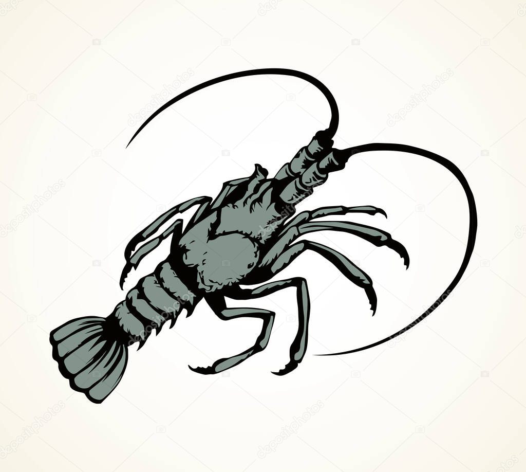 Big old grey anthropod panulirus mudbug set isolated on white background. Freehand bright color hand drawn picture logo sketchy in art scribble retro style. Closeup view with space for text