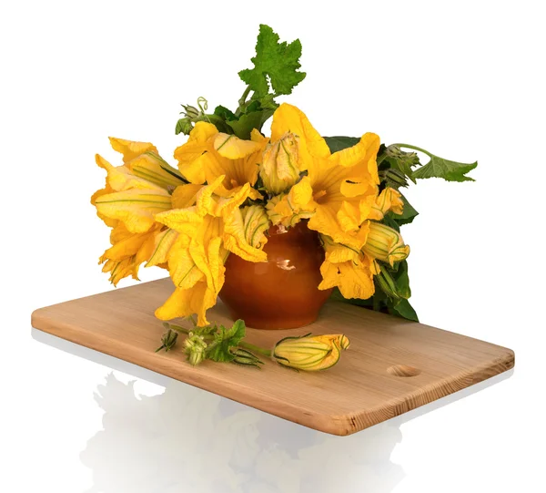 Ramo de flores de calabaza en una olla de barro — Foto de Stock