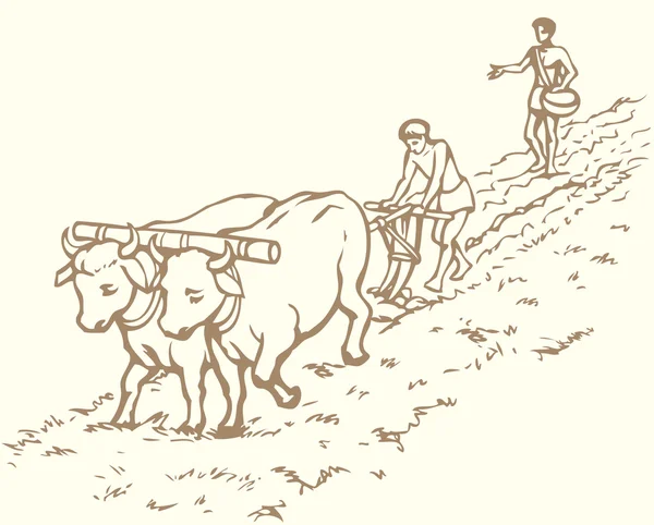 Dibujo vectorial. Agricultura primitiva. Campesinos tratados campo — Archivo Imágenes Vectoriales