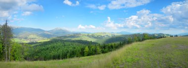 Dağ panorama sessiz Plato Ukrayna Karpatlar
