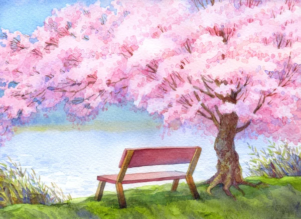 Akwarela krajobraz. Ława, nad rzeką pod drzewem kwitnienia brzoskwiń — Zdjęcie stockowe
