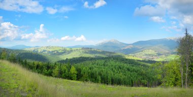 Dağ panorama sessiz Plato Ukrayna Karpatlar
