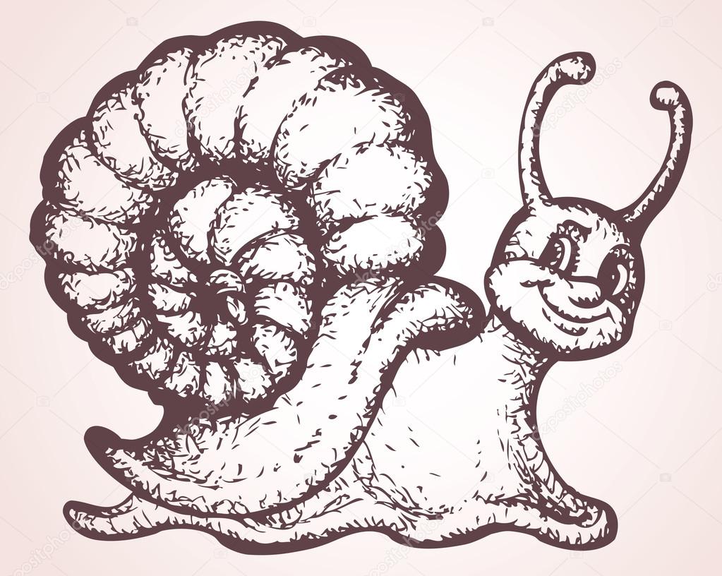Vector sketch. Funny snail