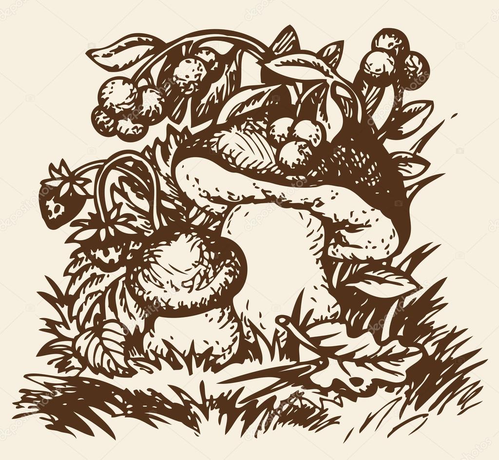 Векторный набросок грибов, клубники и черники векторное изображение