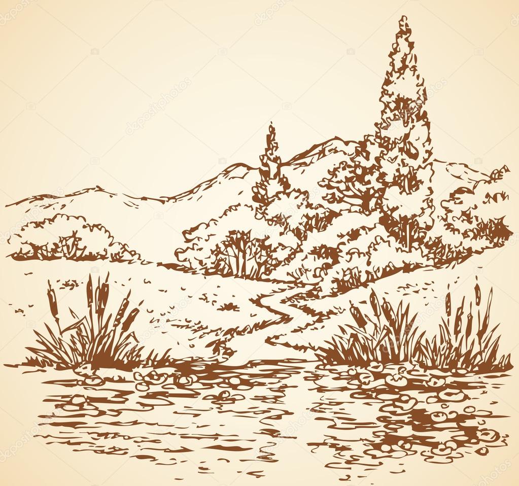Summer landscape: trail from forest to stream. Vector sketch