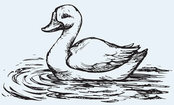 Pato flotante. Boceto vectorial — Vector de stock