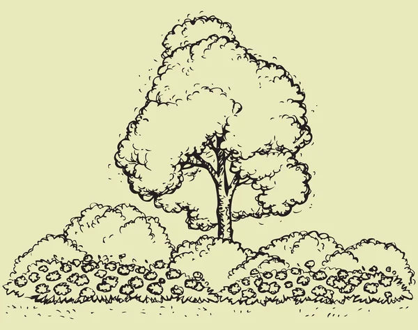 Tree over flowerbed. Vector sketch — Stock Vector