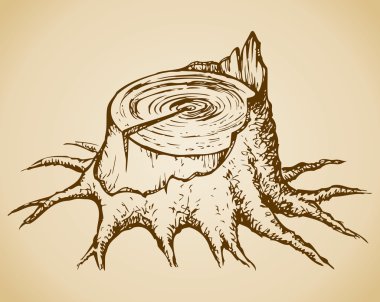 Old tree stump. Vector sketch clipart