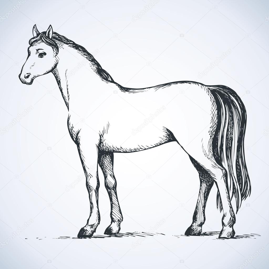 Premium Vector  Horse vector illustration black and white outline  beautiful horse horse icon