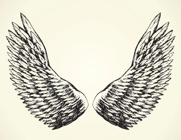 Раскрытые крылья. Векторный рисунок — стоковый вектор