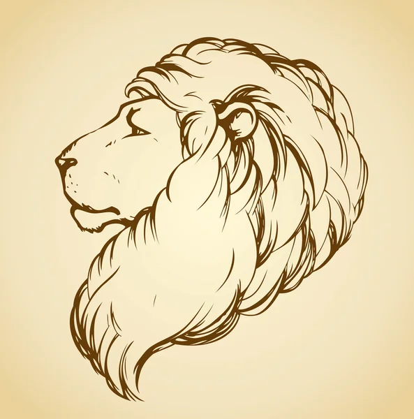 Lion. Vector tekening — Stockvector