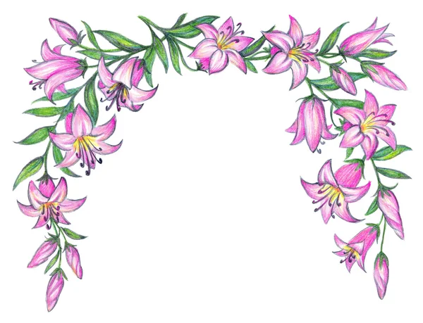 Narin pembe lily. Karakalem