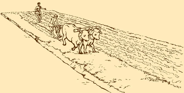 Dibujo vectorial. Agricultura primitiva. Campesinos tratados campo — Archivo Imágenes Vectoriales