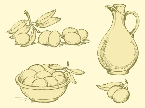 Esquema vectorial. Aceite de oliva en frasco y aceitunas de cosecha — Vector de stock