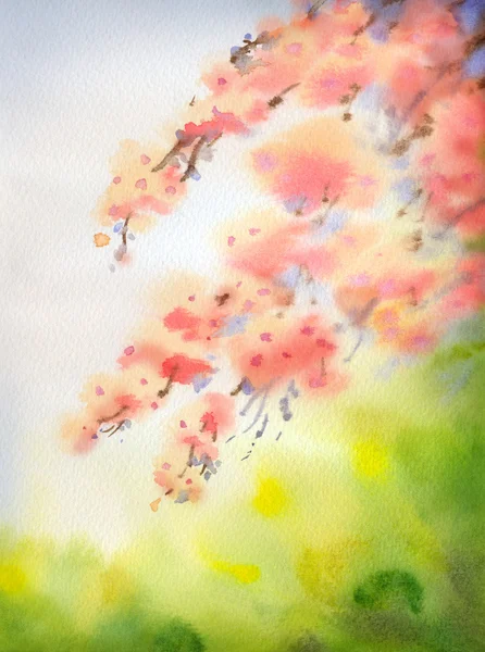 Watercolor background in Japanese style. Branches of blossoming — Stock Photo, Image