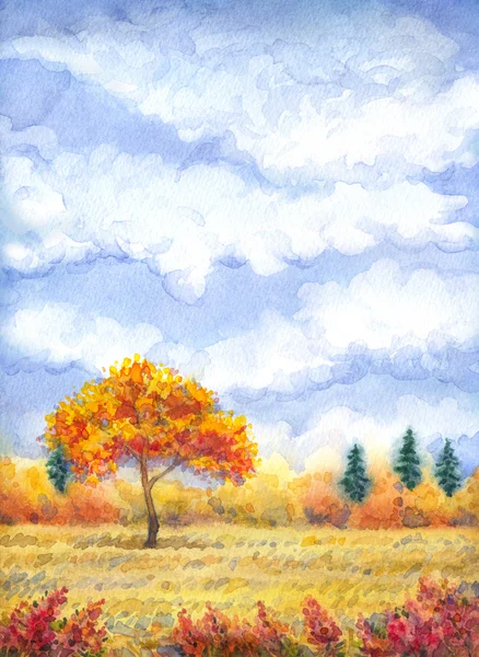 Акварельний пейзаж серії "Дерево в різні сезони " — стокове фото
