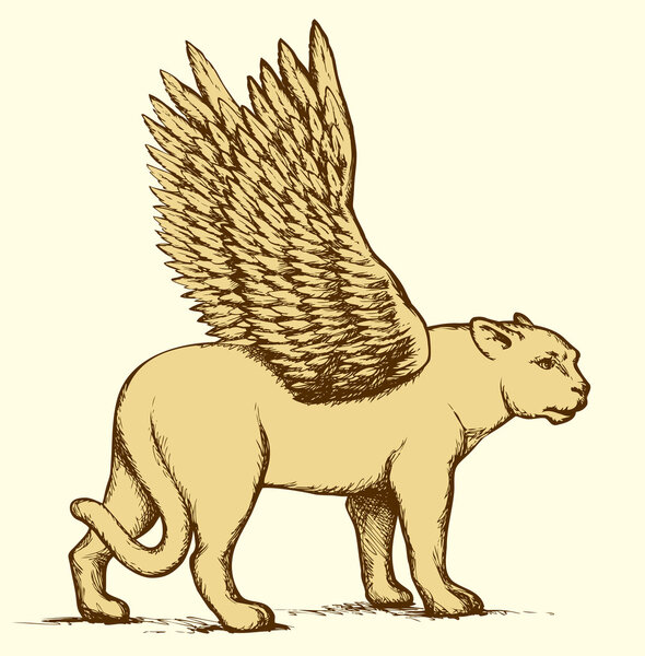 Lioness with wings. Vector drawing
