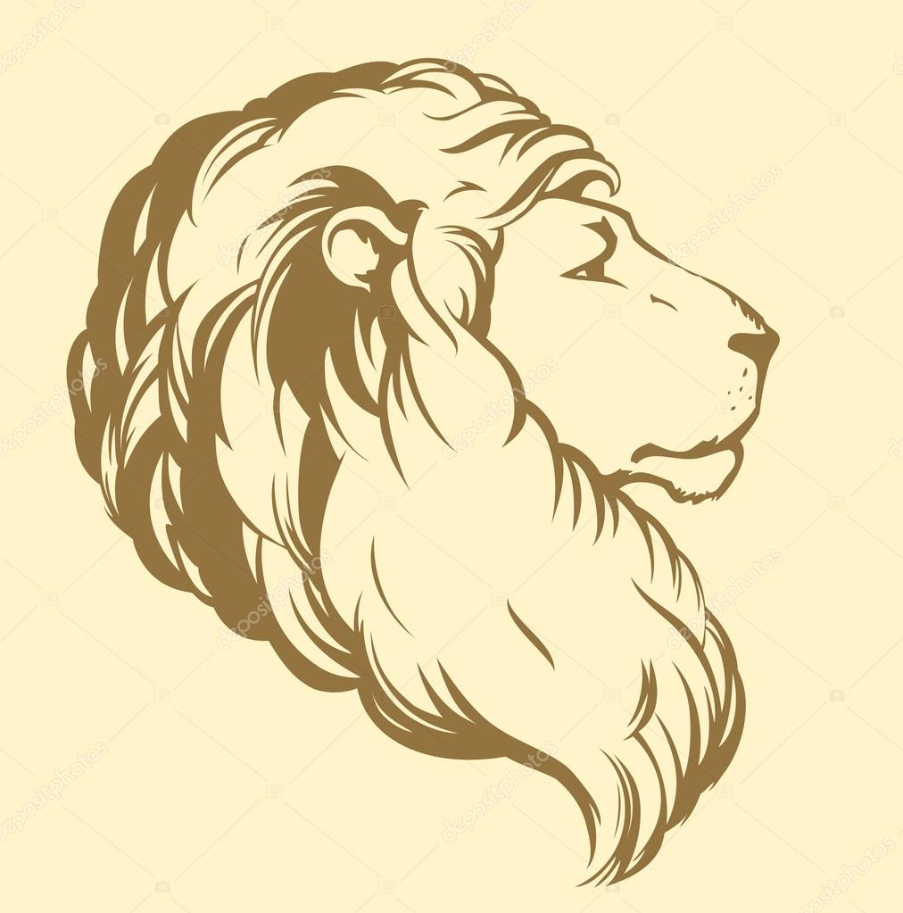 Portrait of a Lion, Head of a Male. Stock Illustration - Illustration of  sketch, line: 254800373