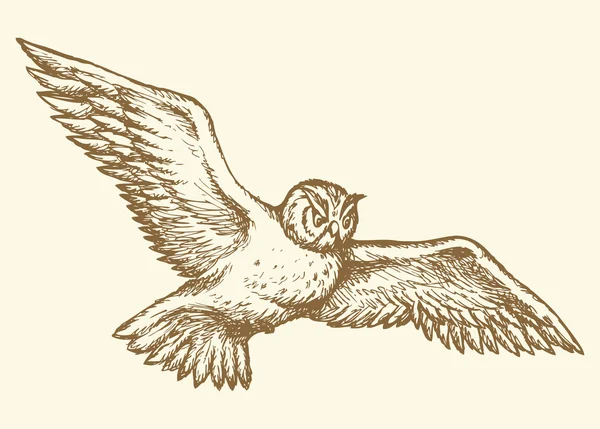 Hibou volant. Dessin vectoriel — Image vectorielle