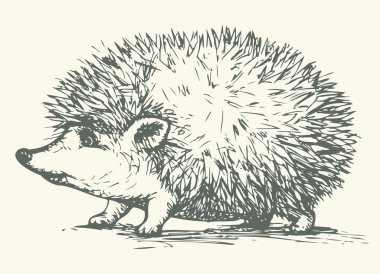 Hedgehog. Vector drawing clipart