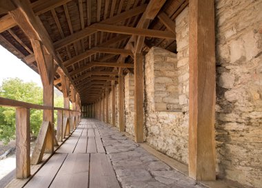 Eğri geçiş Kamianets-Podilskyi Kalesi, Ukrayna