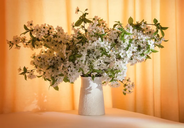 Bunch of flowering branches in vase — Stock Photo, Image