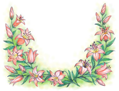 Narin pembe lily. Karakalem