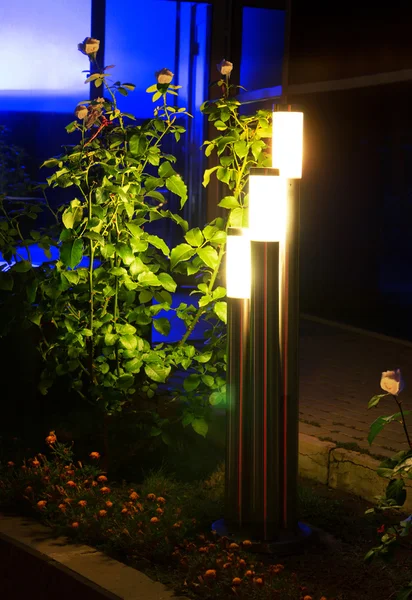 Moderna lampor i natt park — Stockfoto