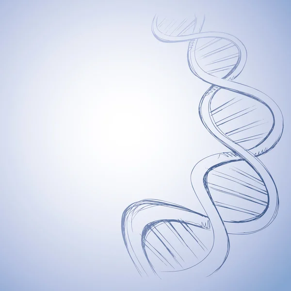 Свободный векторный набросок ДНК — стоковый вектор