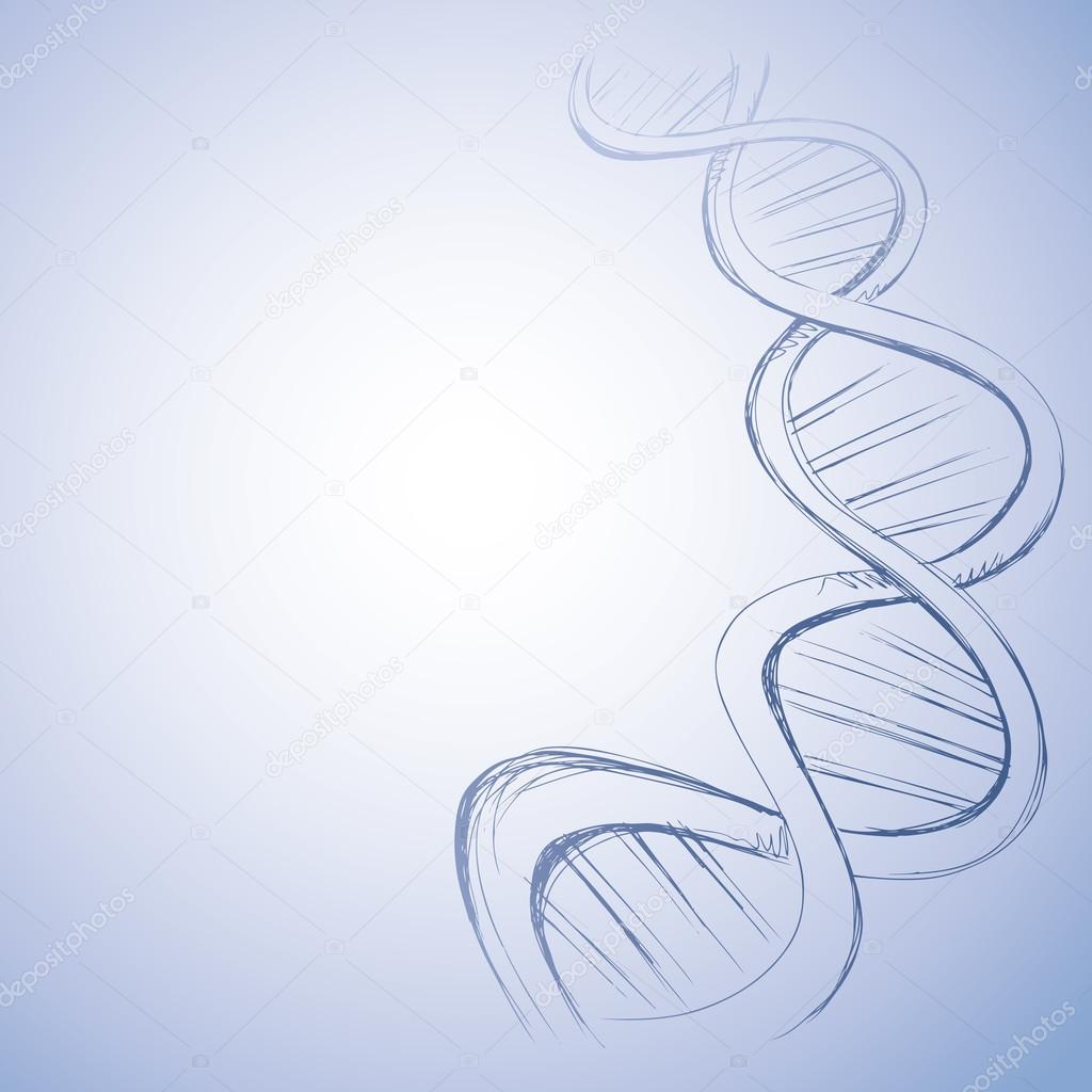 Freehand vector sketch of DNA
