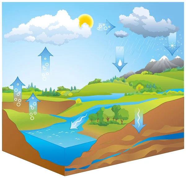 Wasserkreislauf. Vektordiagramm — Stockvektor