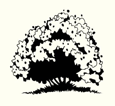 Yakından bakınca, geniş, eski, gür bir dal parçası, ışık hatta gökyüzü arkaplan arkaplan alanı. Koyu siyah mürekkep çizgili el büyük olgun eko büyüyen meyve bahçesi yeşil çimen amblemi tasarımı eski sanat baskısı çizimi kalem tarzı.