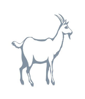 Büyük, şirin koyun kuzusu koç keçi yavrusu İncil çiftliği otlağı yiyecek, gökyüzü manzaralı metin alanı. Siyah çizgili el, İncil 'den eskiz, hayvanat bahçesi, küçük yumurtalı geyik sürüsü logosu.