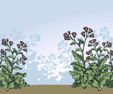 Eski, yenebilir yeşil kozmetik demet seti. Beyaz gökyüzü mesaj uzayı. Siyah mürekkep çizili eko biyoyağ nesnesi logosu simge simgesi tasarımı. Retro çizim çizgisi tarzı. Yakın görünüm