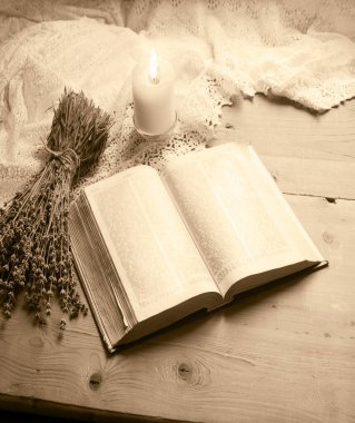 Yakın plan aşk mektubu lambası. Kuru bahar bitkisi dekor masası afişi. Kutsal Yahudi bilgeliği sanat taze çiçek çiçeği mor tomurcuk yaprağı yakın tepe noktası hala hayat dolu kart