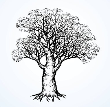 Kapalı mürekkep kalem çizgisi, kısır zeytin dalı, eko sahne, amblem logo tasarımı, retro sanatçı tarzı çizilmiş. Manzaralı açık hava manzarası çiçek açar gökyüzü karlı sanat eserleri metni alanı