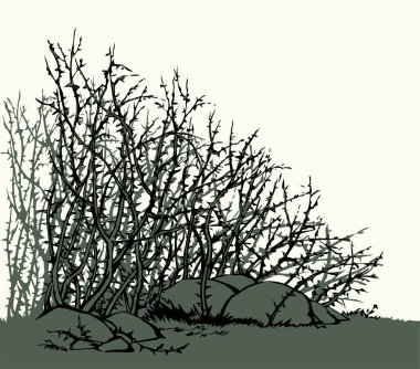 Yakın çekim İncil manzarası eski kuru kalça ağacı gökyüzü kutsal kitap alanı sahnesi. Karanlık el çizimi inanç tohum tohumu acı dal dalı meyve şekli simge logo amblemi tasarım retro çizgi karalama sanat tarzı 