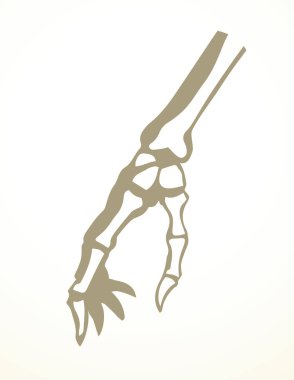 Ön cephedeki yaşlı kadın, avuç içi yaralanması, ağrı, hastane tedavisi, röntgen filmi, beyaz logo. Siyahi korku, sağlıklı kadın yaralıyı kendine çekti. Sıhhiyeci adam.