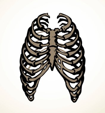 Öndeki beyaz kadın, eklem eklem ağrısı, kol ağrısı, hastane, tedavi, röntgen filmi logosu. Elle çizilmiş kadın doktor röntgeni ölü erkek omurilik rahatsızlığı, akciğer ağrısı sınavı karalama çizimi.