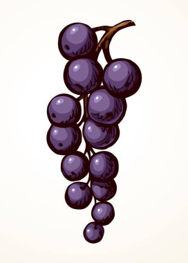 Ana hatları siyah mürekkepli el taze, taze, taze, ham, sağlıklı besleyici, yeşil rubrum tatlı amblemi tasarımı, retro sanat karalama çizgisi baskı stili. Çiçek dalını kapat botanik görüntüsü açık gökyüzü metin alanı deseni