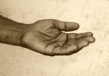 Kırsal kesimdeki genç işçi, İncil 'deki Tanrı' ya yalvarıyor, avuç içi kadar açık, yeni bir yaşam gücü üretiyor, umut ediyor. Makro bakış açısını kapat. Bekar kız kuru sözcüğü al. Duvar, beyaz duvar, çevre, bahar, toprak, çim ekini.