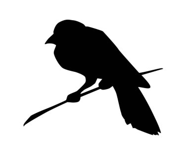 Siyah çizgili kalem el, sevimli, küçük, sinek, kanat, gaga, evcil hayvan, eski sanat anahatları logo amblem baskı stili çizmiş. Yakın plan eski uçuş dumanı ağacı çalısı yemek yiyecekler hafif gökyüzü metni alanı