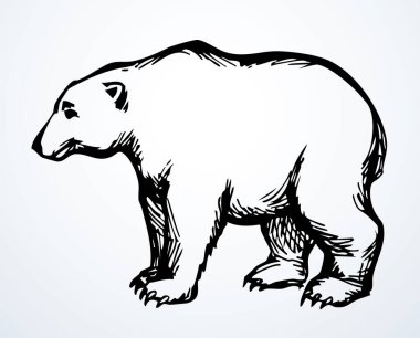 Yakından bakınca, yaşlı kürklü kükreme, buz pateni bacağı ayak, şirin yavru köpek kafası soğuk taiga direği gökyüzü mesaj uzayından korkuyor. Esmer, koyu kahverengi bir el, aç, tüylü bir göz vahşi bir dövüş evcil hayvan retro çizgisi engrav çizgisi sanat hayvanat bahçesi tarzı amblem.