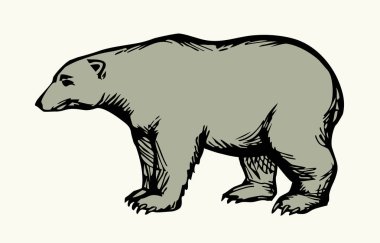 Yakından bakınca, yaşlı kürklü kükreme, buz pateni bacağı ayak, şirin yavru köpek kafası soğuk taiga direği gökyüzü mesaj uzayından korkuyor. Esmer, koyu kahverengi bir el, aç, tüylü bir göz vahşi bir dövüş evcil hayvan retro çizgisi engrav çizgisi sanat hayvanat bahçesi tarzı amblem.