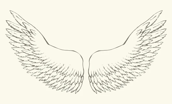 Uitgestrekte vleugels. Vector tekening — Stockvector