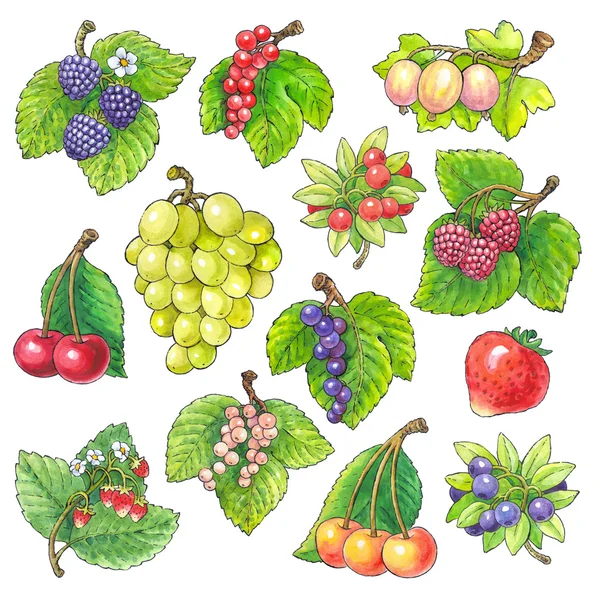 Watercolor picture of different fruits — Stock Photo, Image