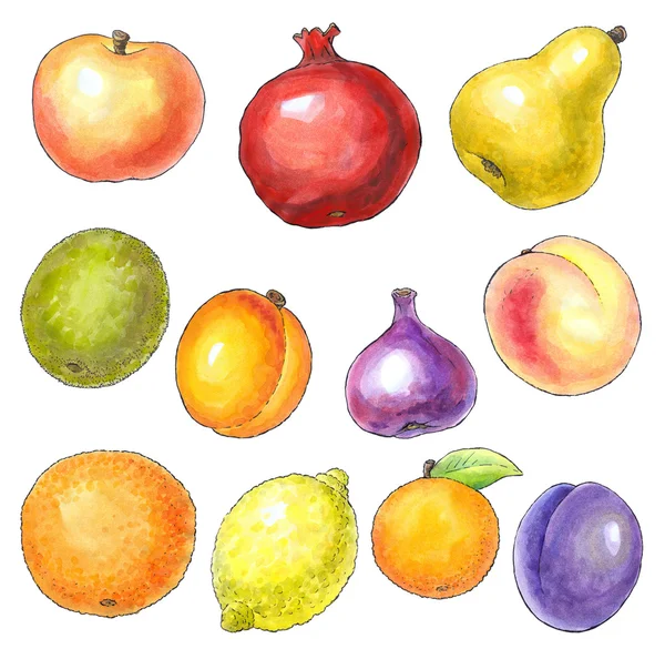 Immagine ad acquerello di frutti diversi — Foto Stock