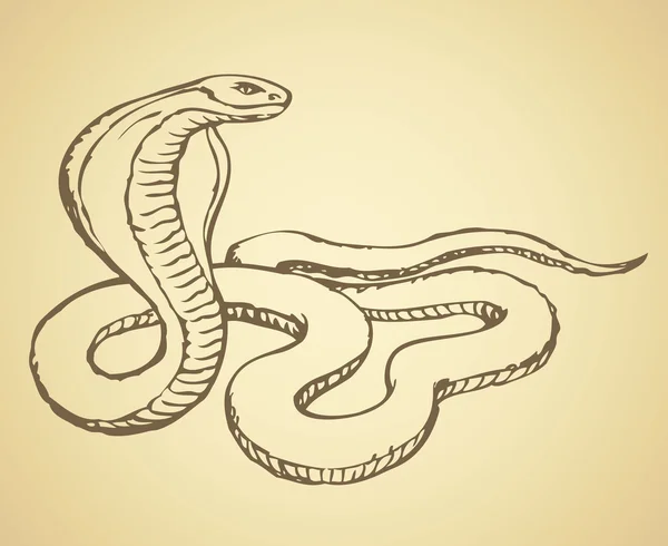 Serpiente. Dibujo vectorial — Vector de stock