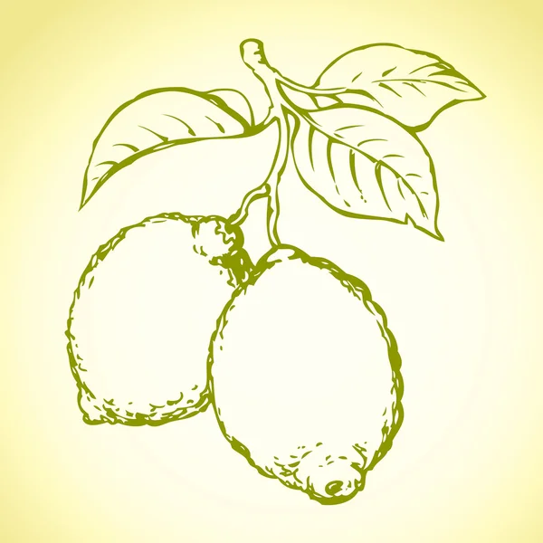 Citron. Dessin vectoriel — Image vectorielle